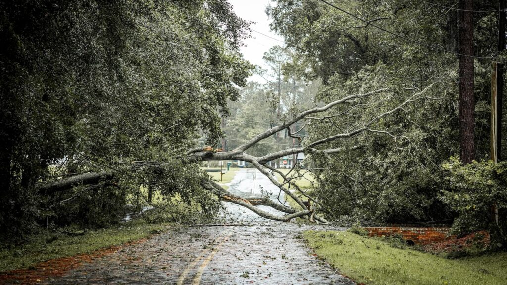 Tempête Marta : grosses rafales et fortes pluies en France
